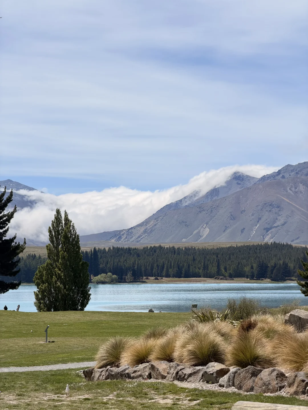🇳🇿 Lake Tekapo 🩵
