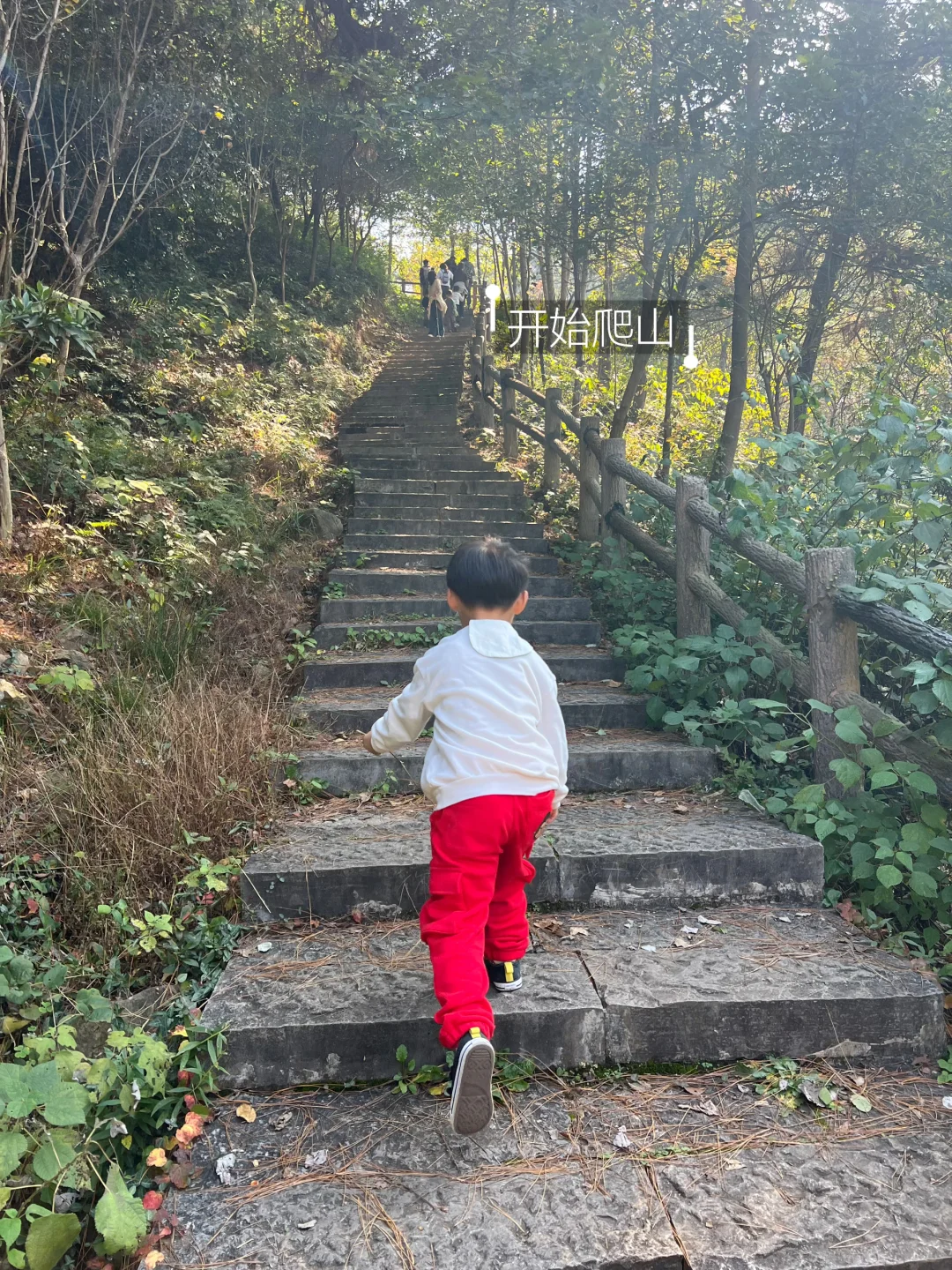 先收藏⭐明年夏天来玩水‼️