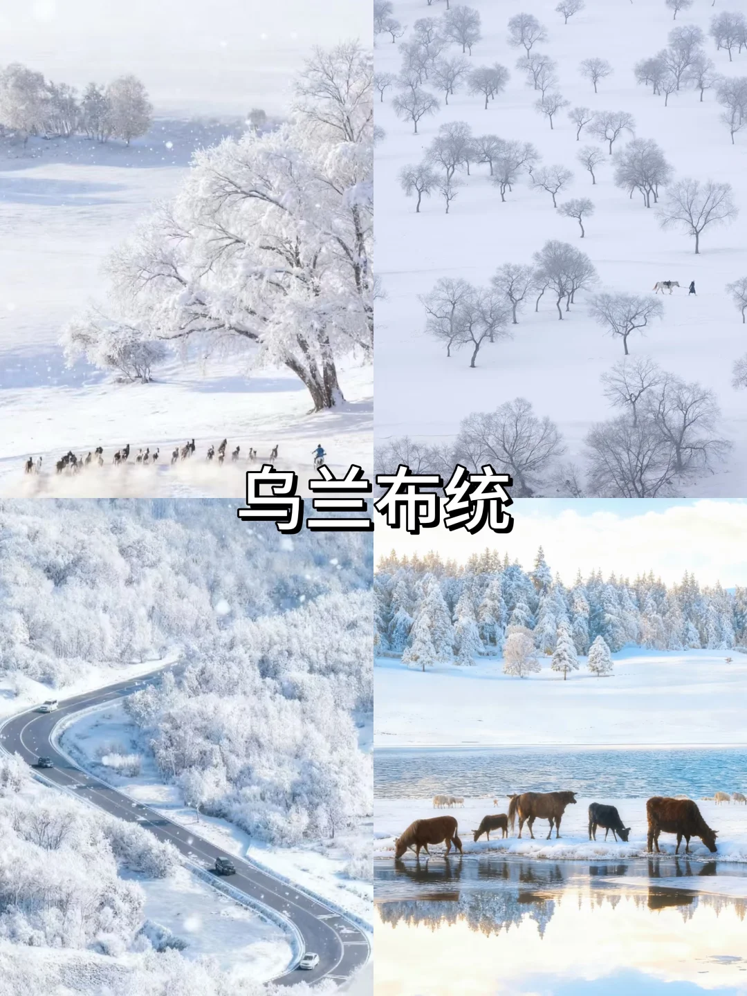 国内冬季赏雪天花板‼️看看你去过哪几个