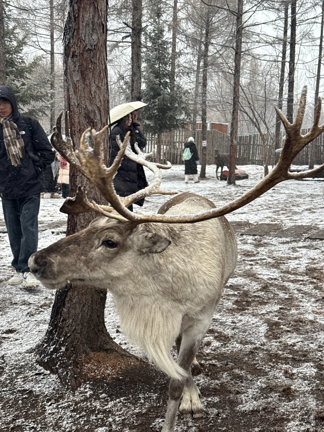 关于天池不开放，我去哪里玩这件事
