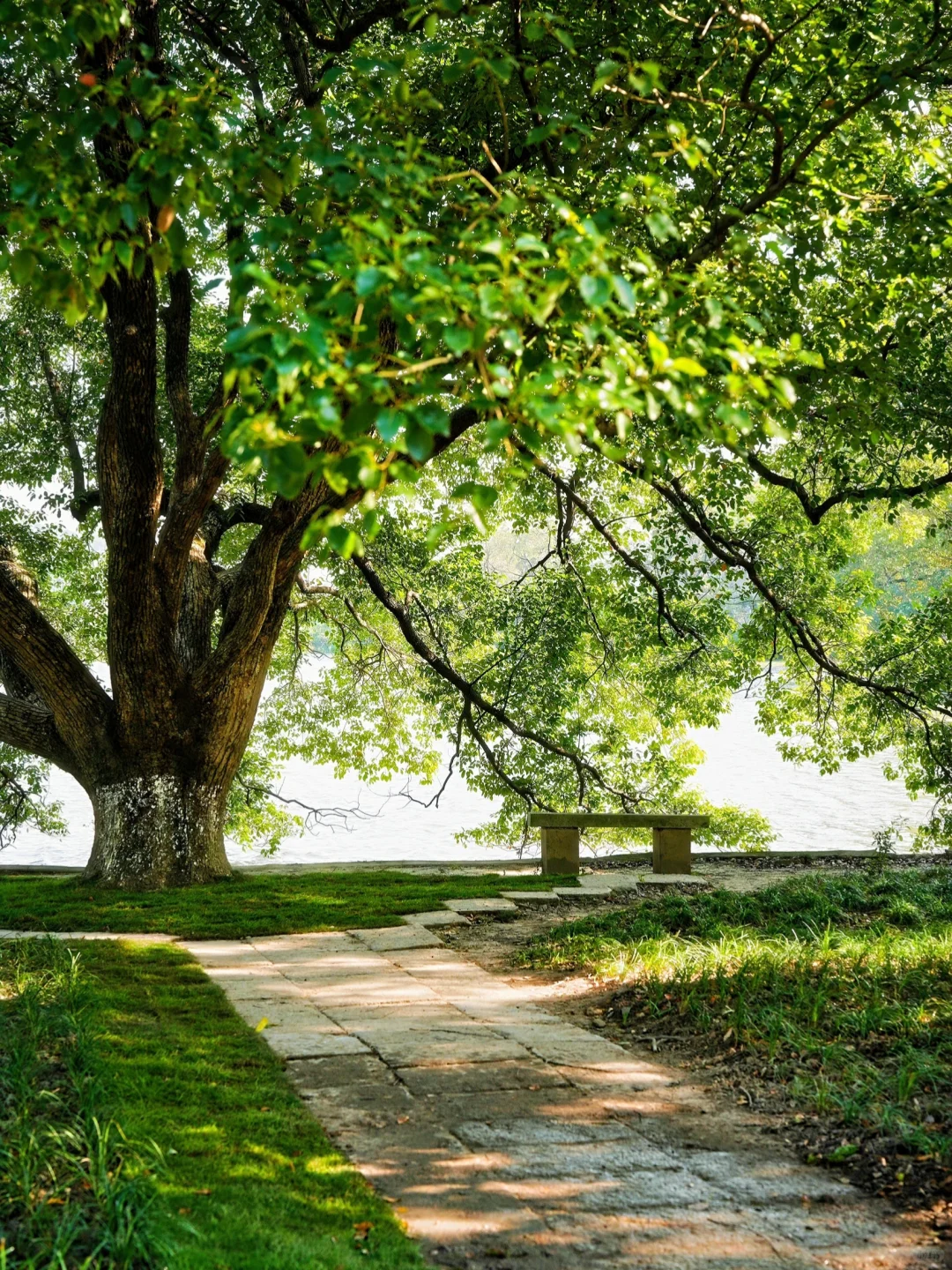 上虞秋日必冲🔥白马春晖文化园藏不住了