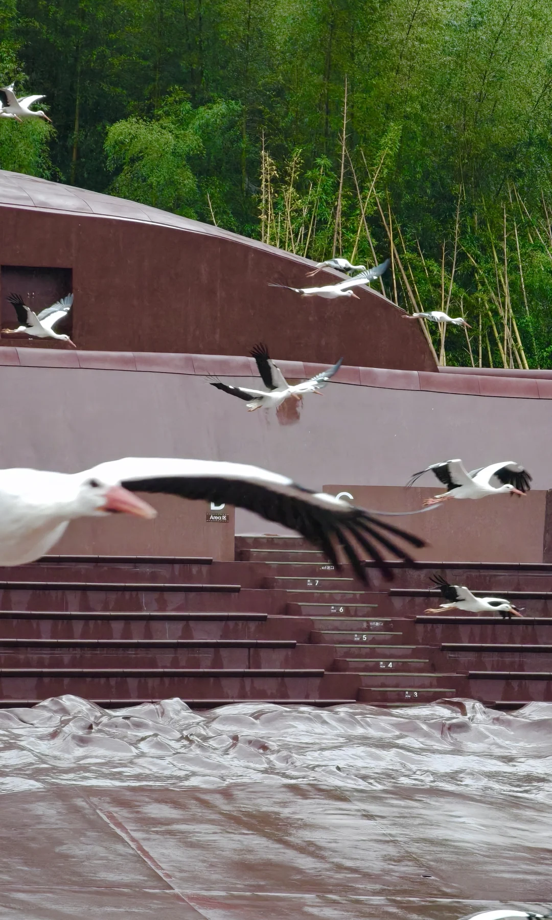 宜兴！你不宣传这江南小镇！你糊涂啊！！！！！！！
