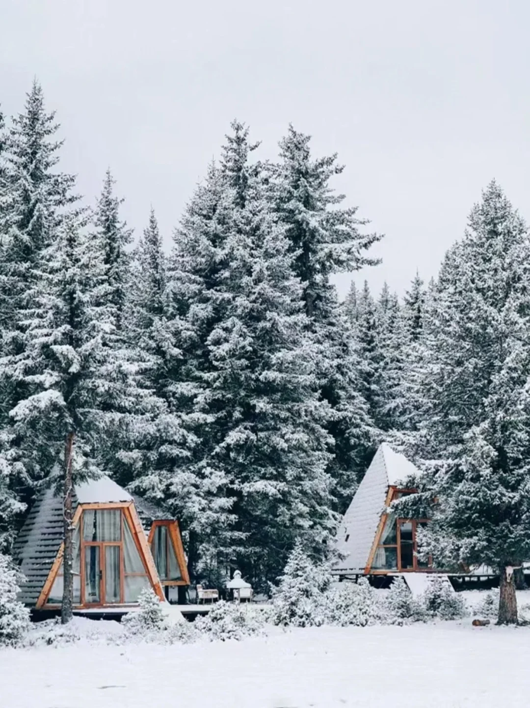 松潘玩雪已回！坚决不删，能劝一个是一个……