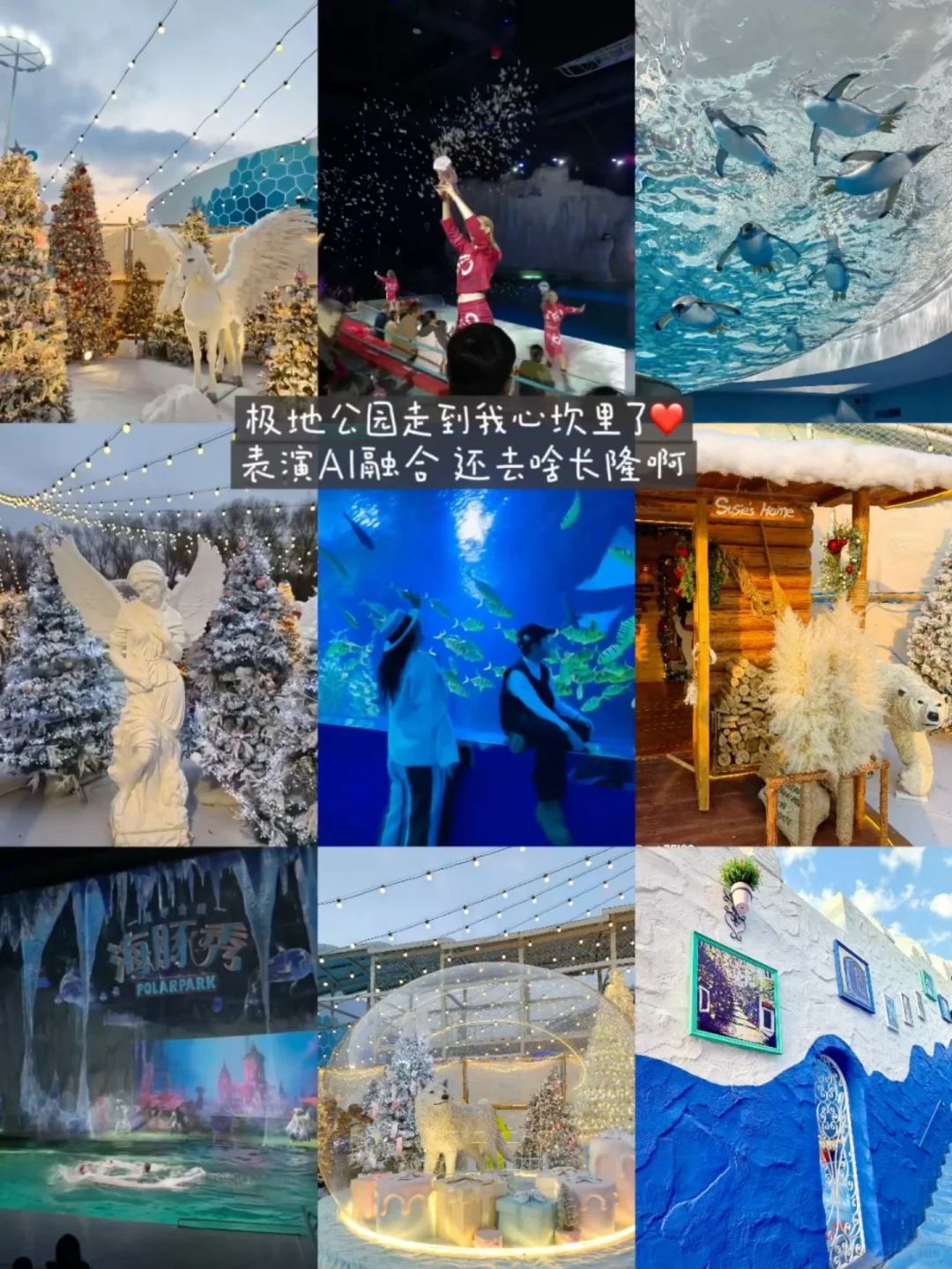 ️冬天去哈尔滨 J人整理必玩指南📖‼️