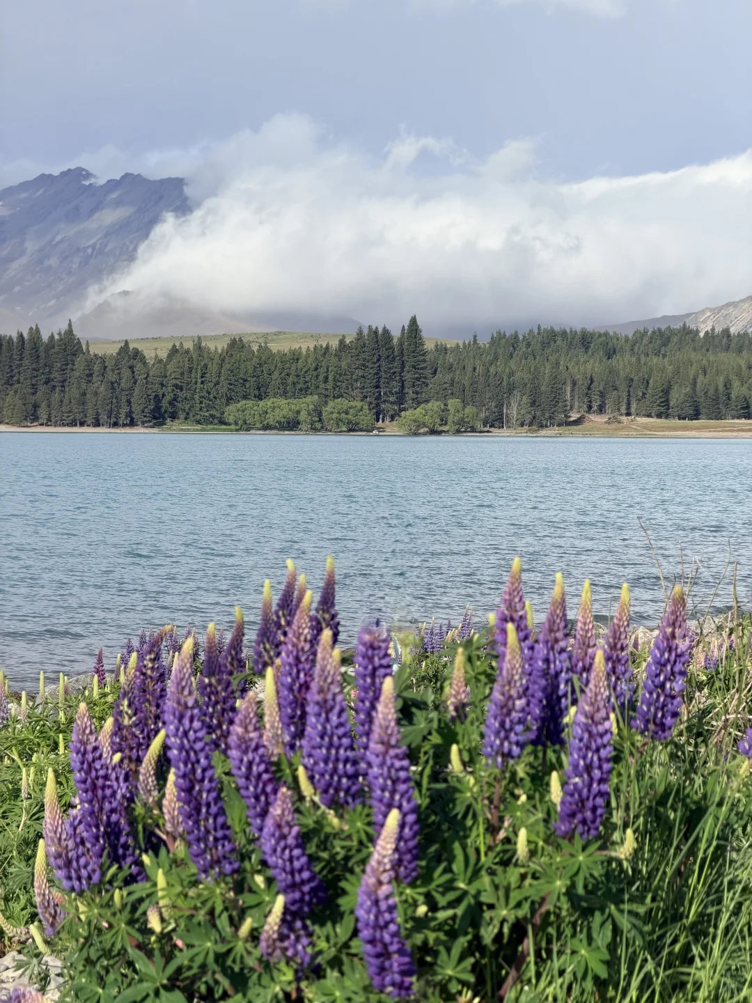 🇳🇿 Lake Tekapo 🩵