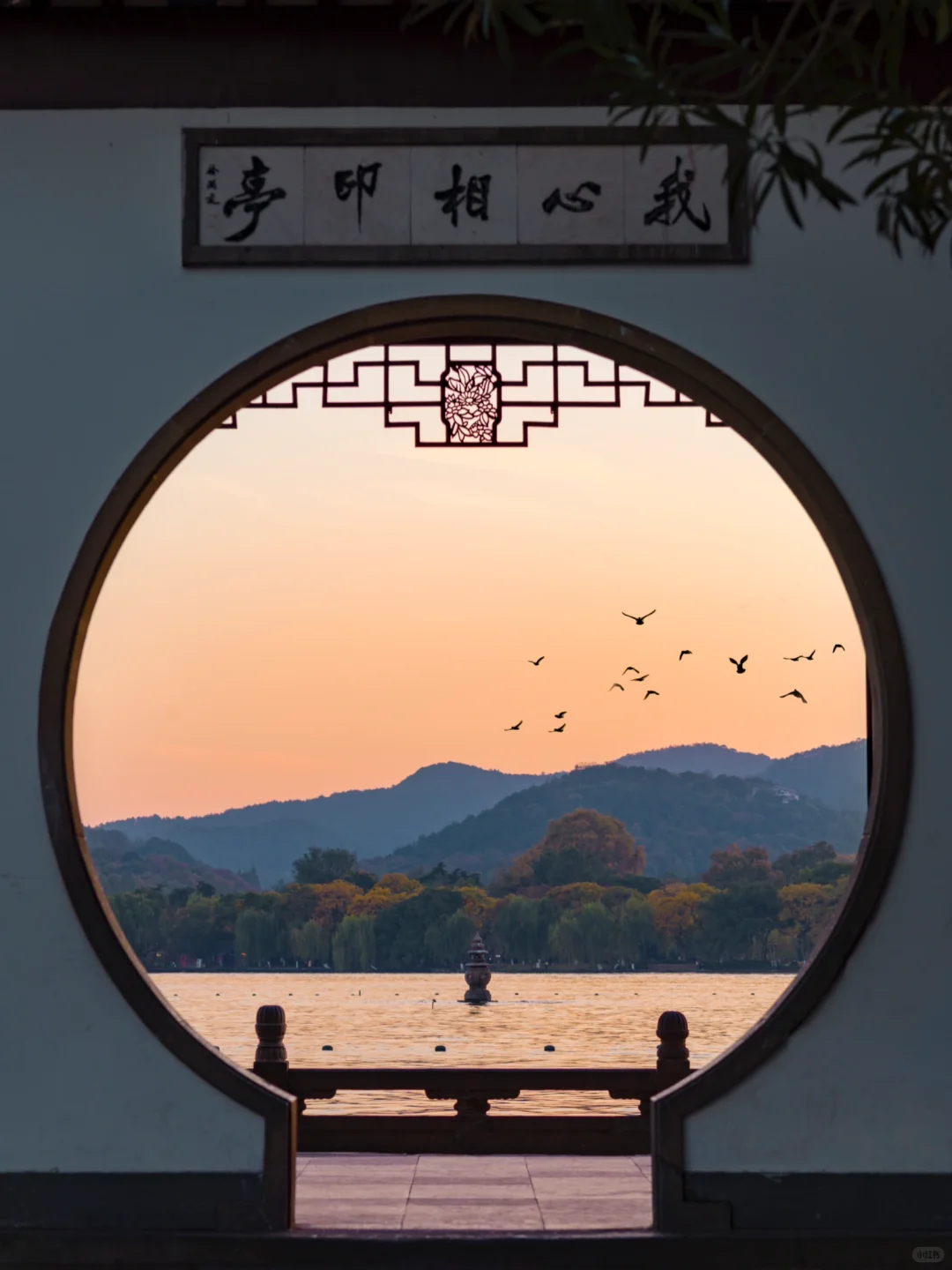 为了这1️⃣8️⃣张图，特意飞了一趟杭州，值吗！