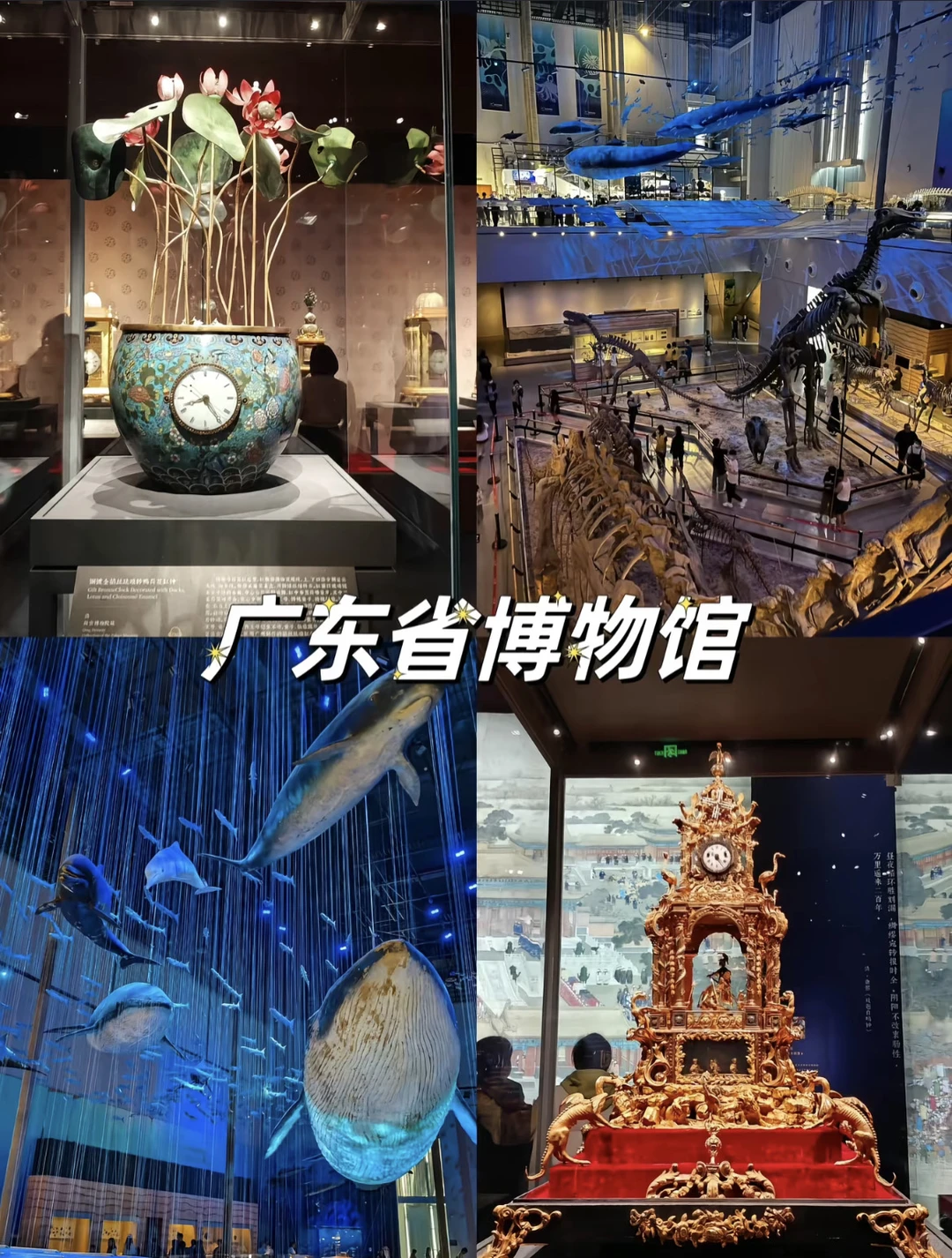 广州citywalk必打卡景点