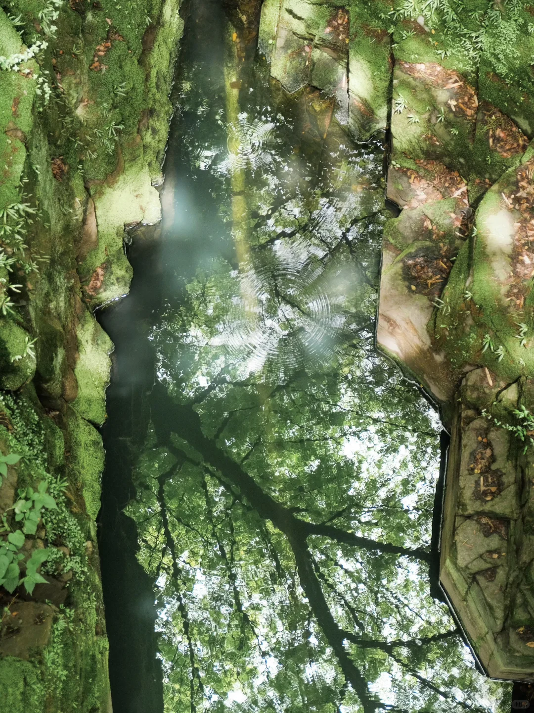 10月来虎丘，人少出片+热闹庙会双份攻略收好