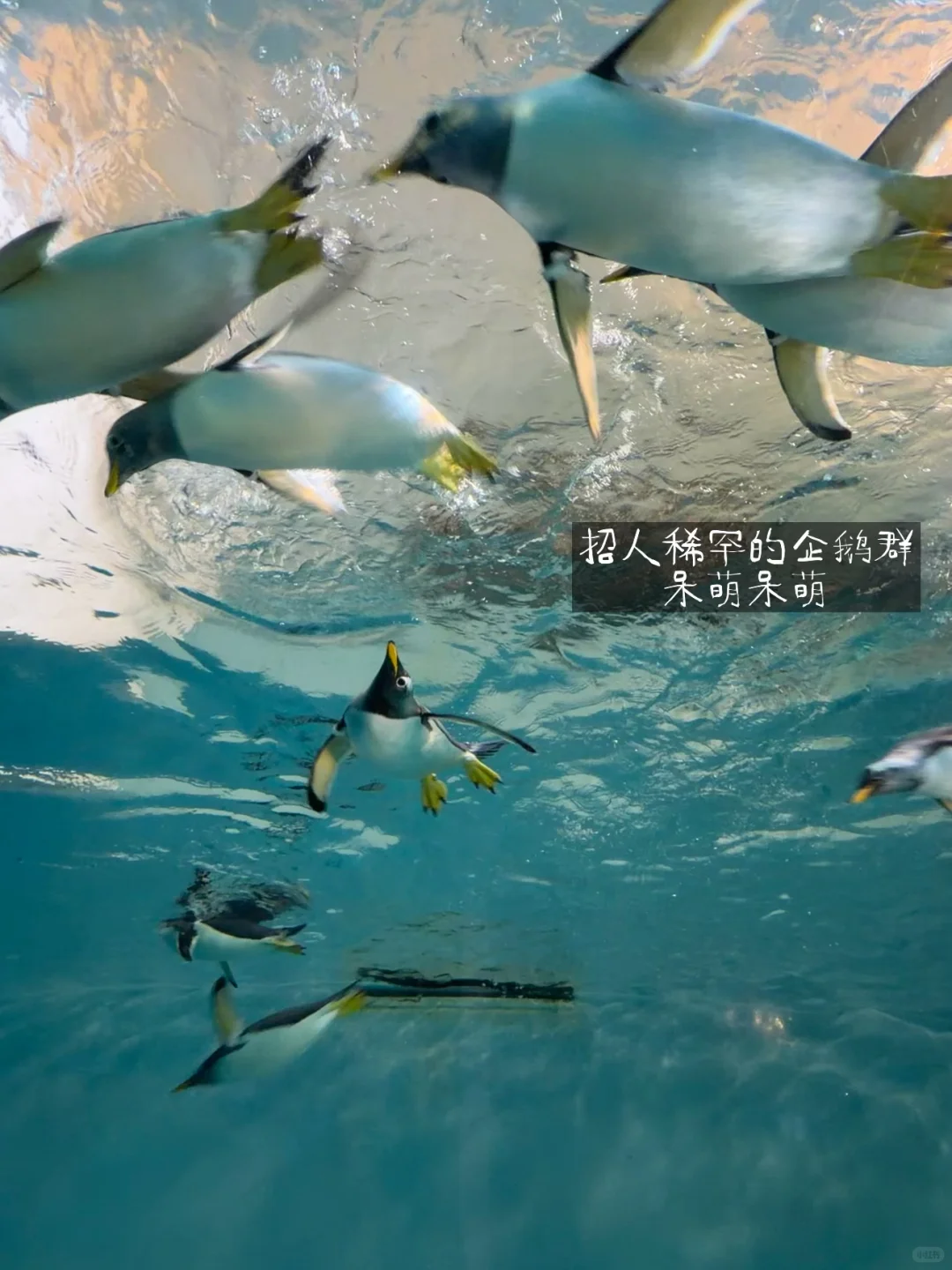 ️冬天去哈尔滨 J人整理必玩指南📖‼️