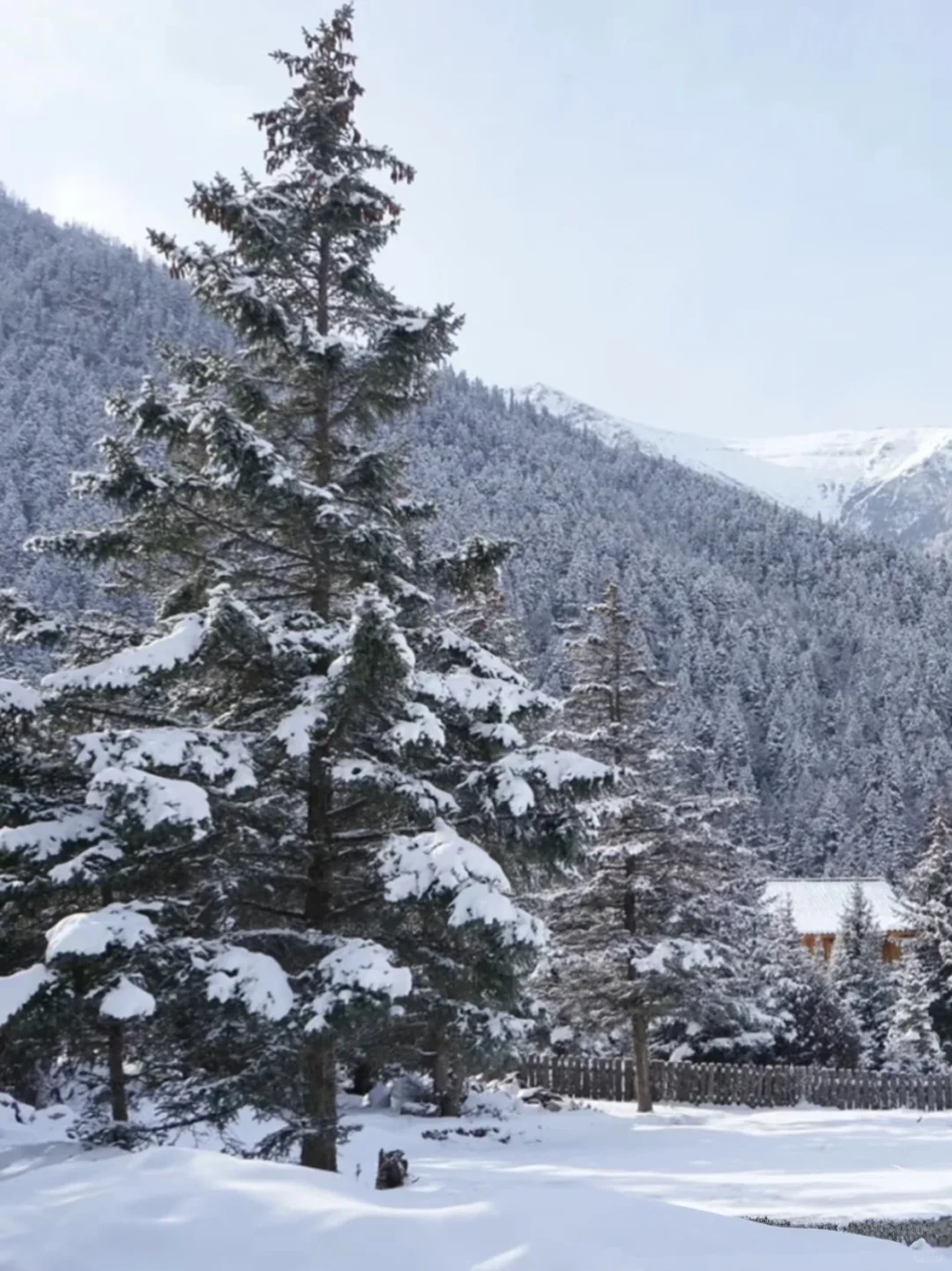 松潘玩雪已回！坚决不删，能劝一个是一个……