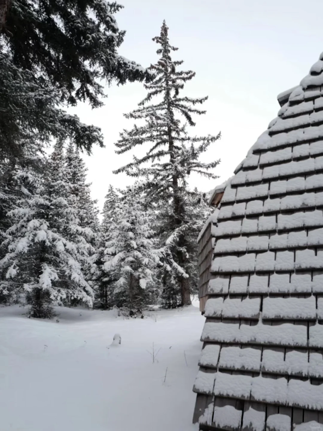 松潘玩雪已回！坚决不删，能劝一个是一个……