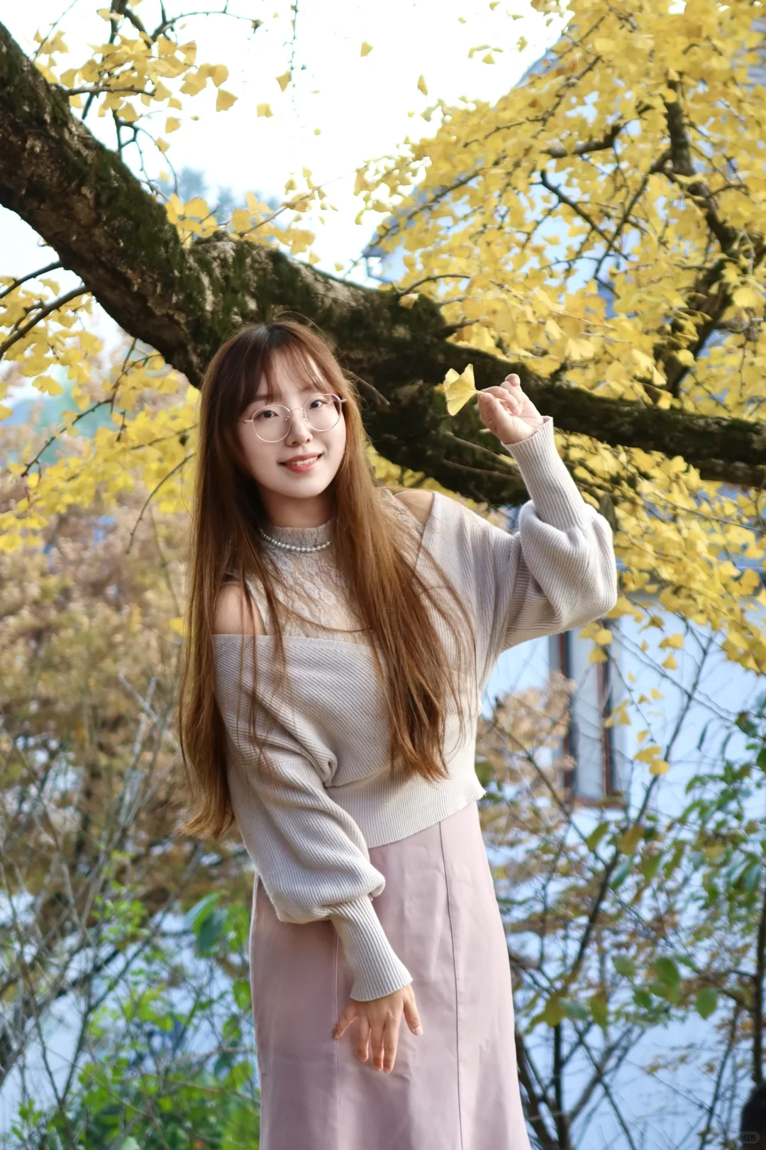 周末去哪玩|指南村秋色正当时🍁赏千年银杏