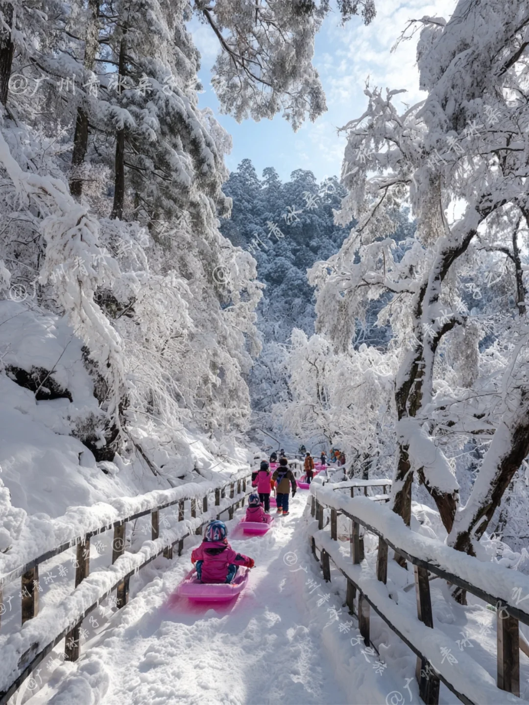 广东出发适合带娃看雪的6个城市 好玩又便宜