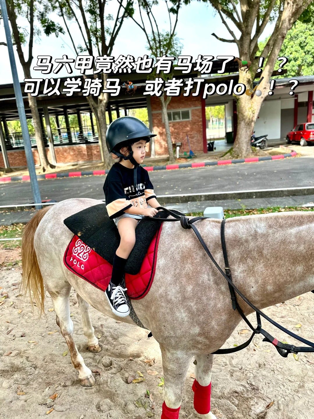 不是国外!是在马六甲新开的马场!!