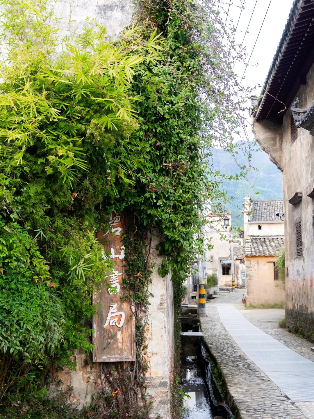 南京出发 | 挑战每周出去玩✨第60站📍黟县