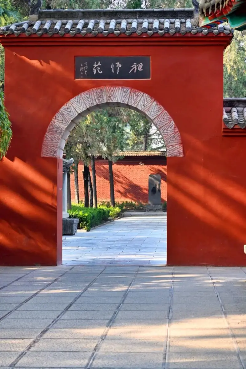 ‌✨洛阳三日｜必玩景点！