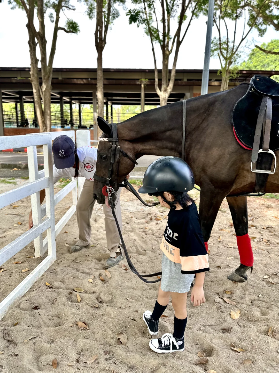 不是国外!是在马六甲新开的马场!!
