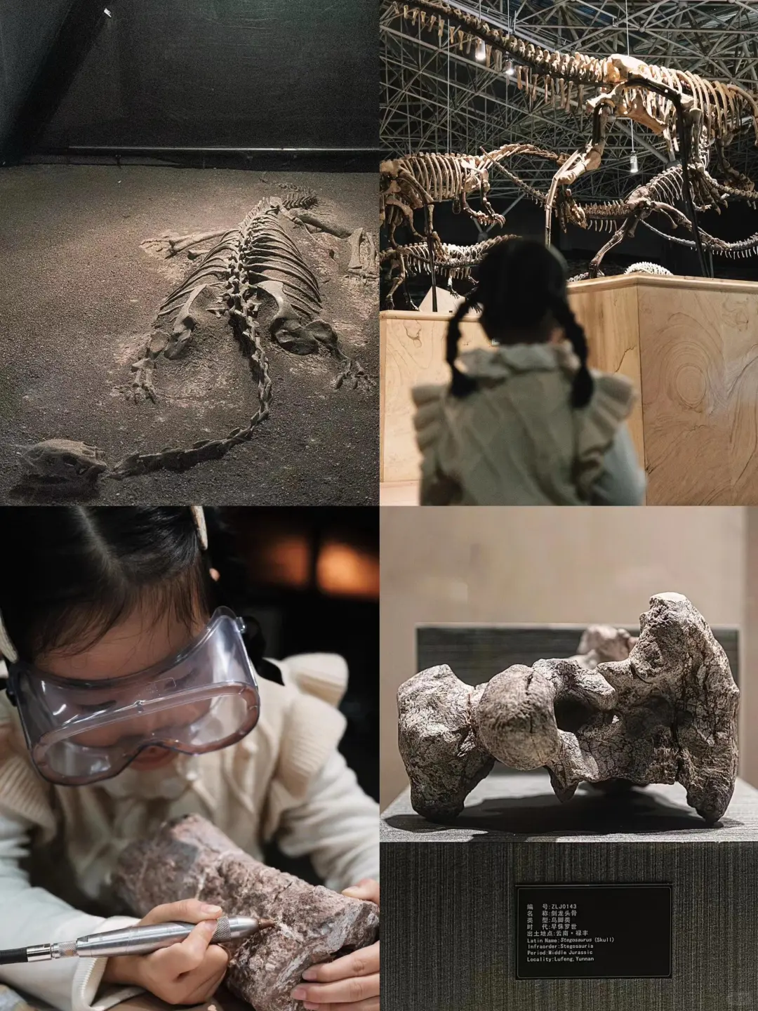 二刷弥勒！一点不累！娃说比迪士尼好玩