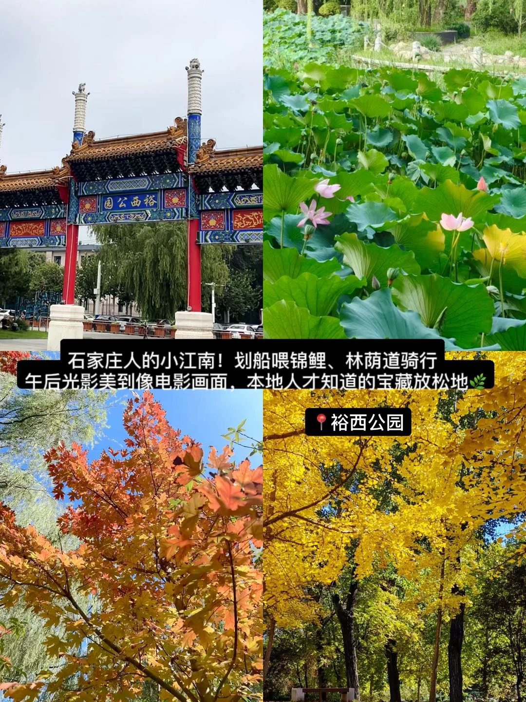 河北石家庄，后劲很大的8️⃣个地方。。。