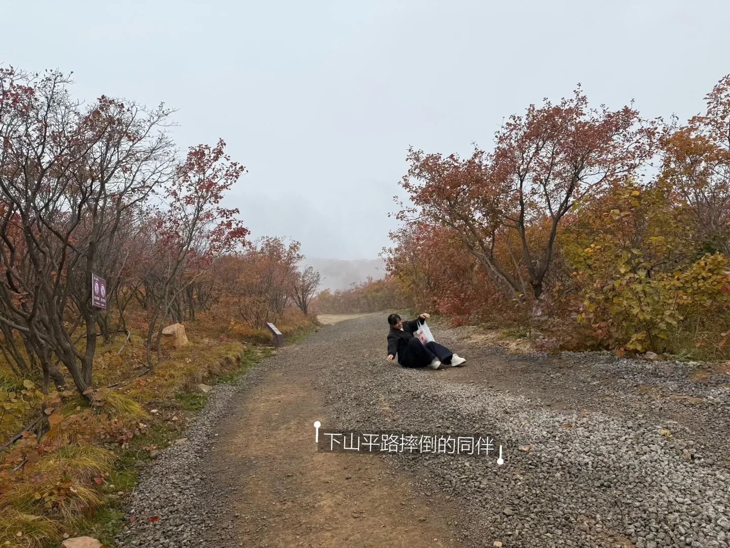 邢台也有自己的喀纳斯｜佛照山