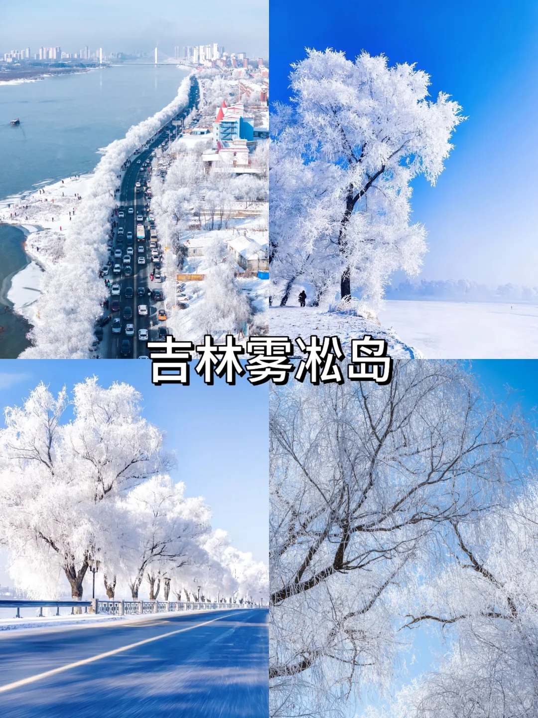 国内冬季赏雪天花板‼️看看你去过哪几个