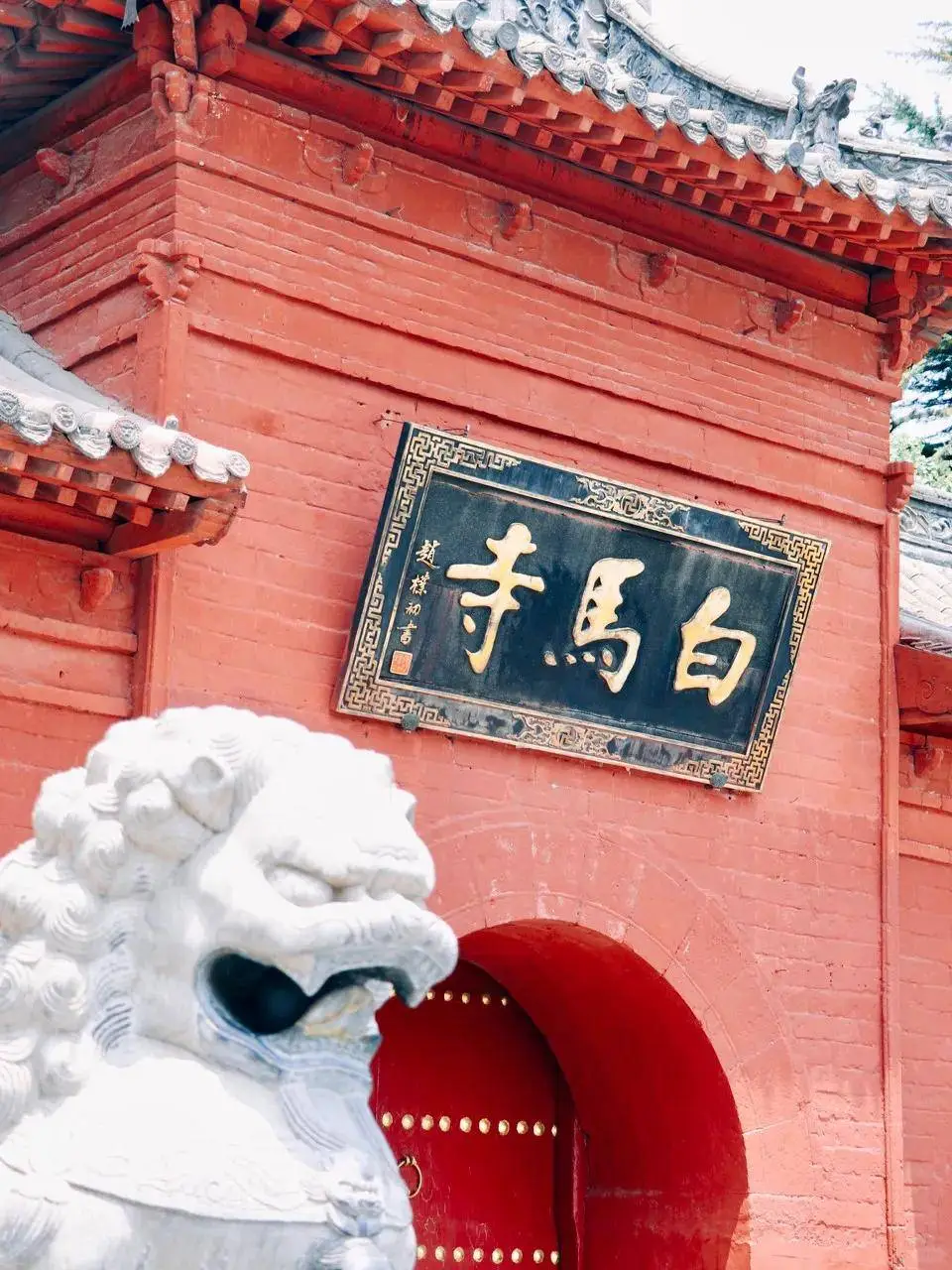 ‌✨洛阳三日｜必玩景点！