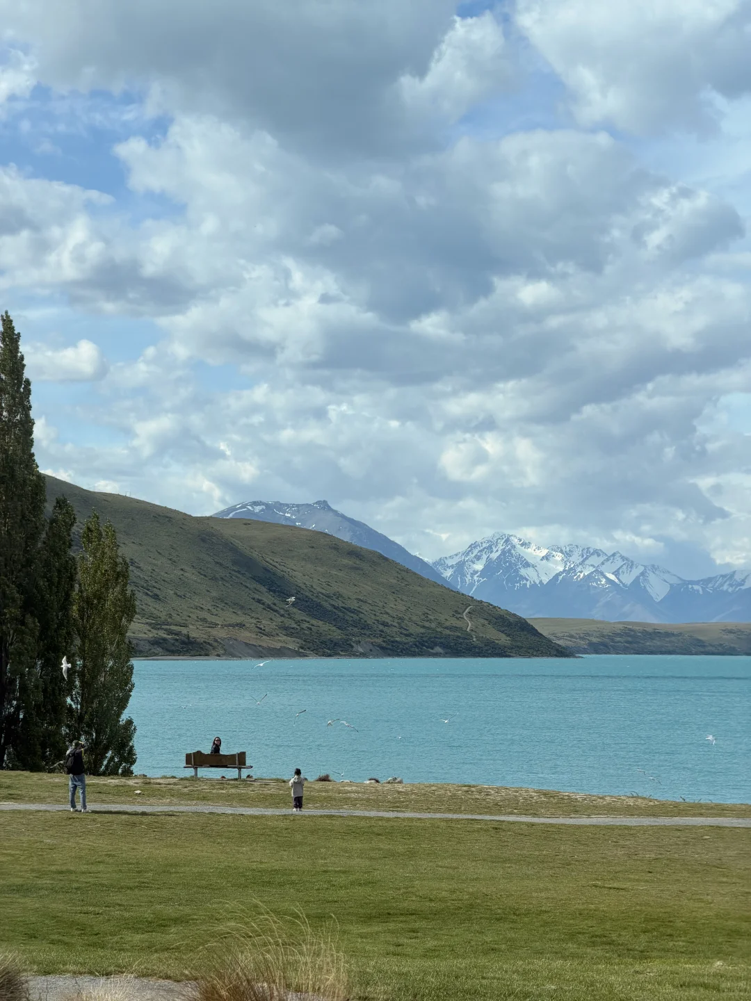 🇳🇿 Lake Tekapo 🩵