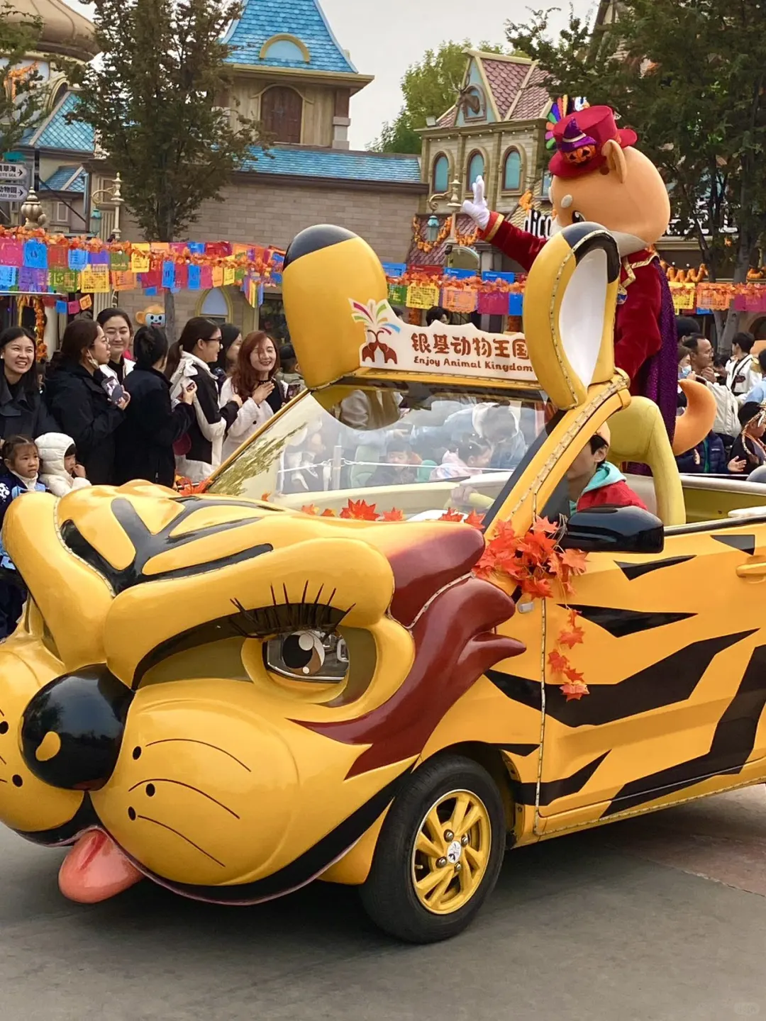 5折拿下郑州吃住玩套餐‼️‼️不囤真的亏