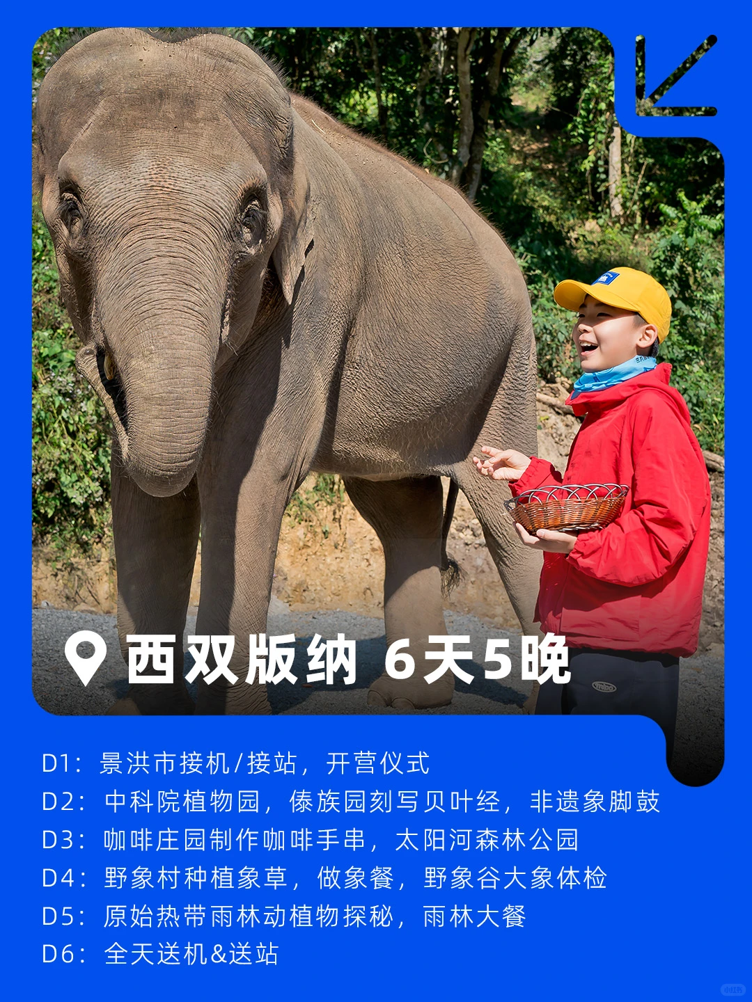 🌈寒假遛娃天花板📍8个目的地带娃玩中学