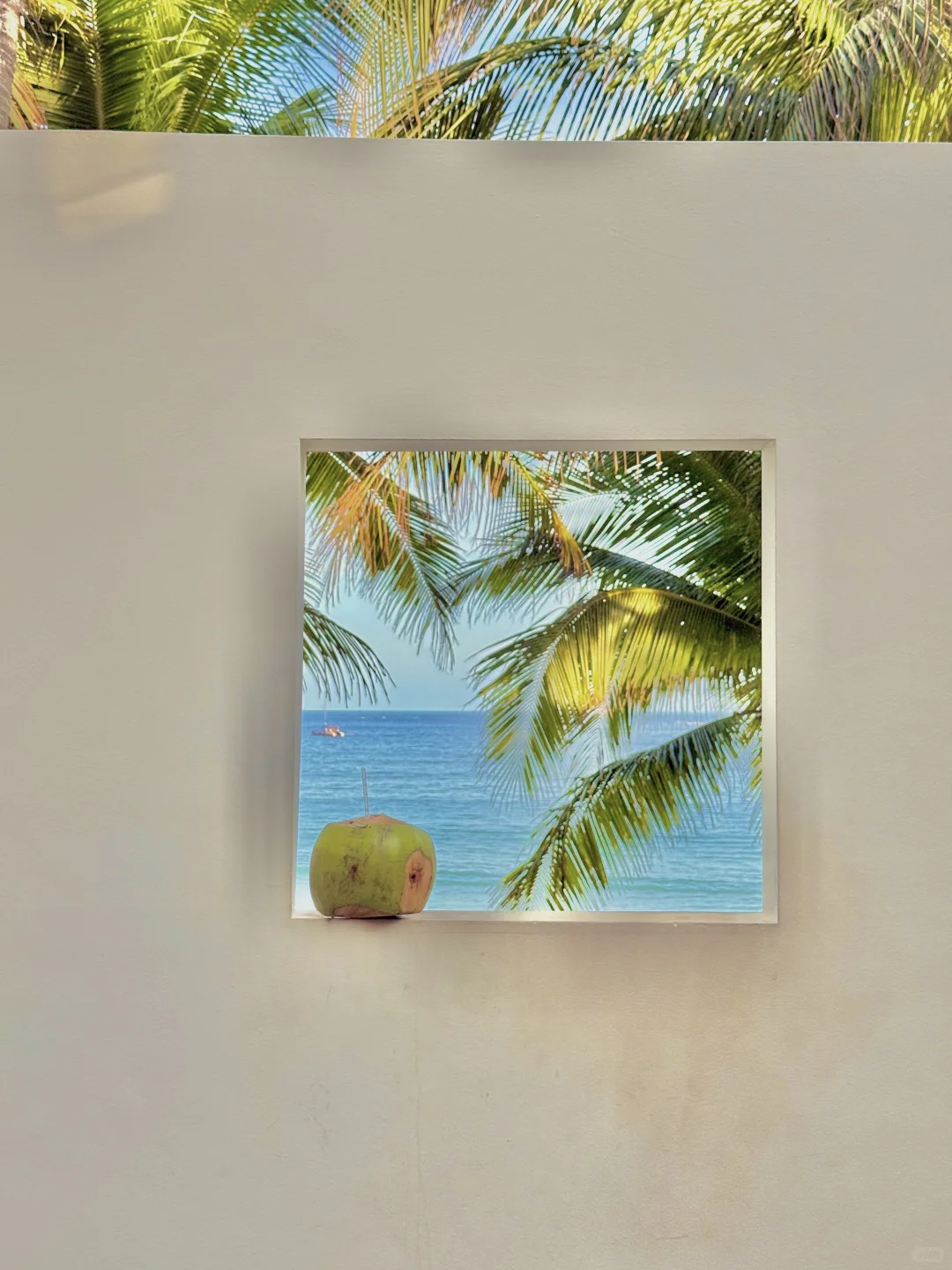 淡季的三亚，真的满足了我对于海边所有幻想！