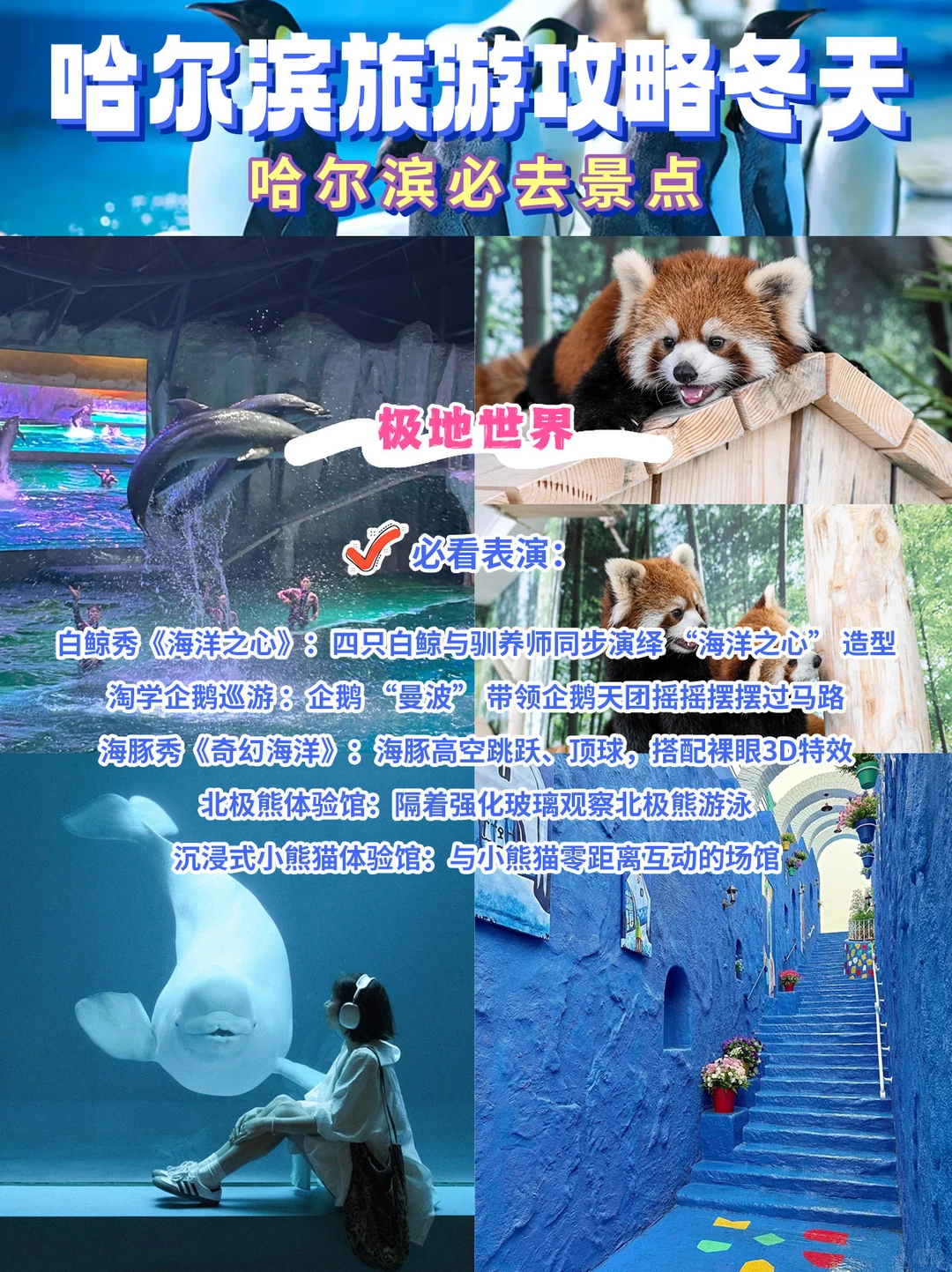 哈尔滨旅游攻略冬天✅ 原来可以这么玩‼️