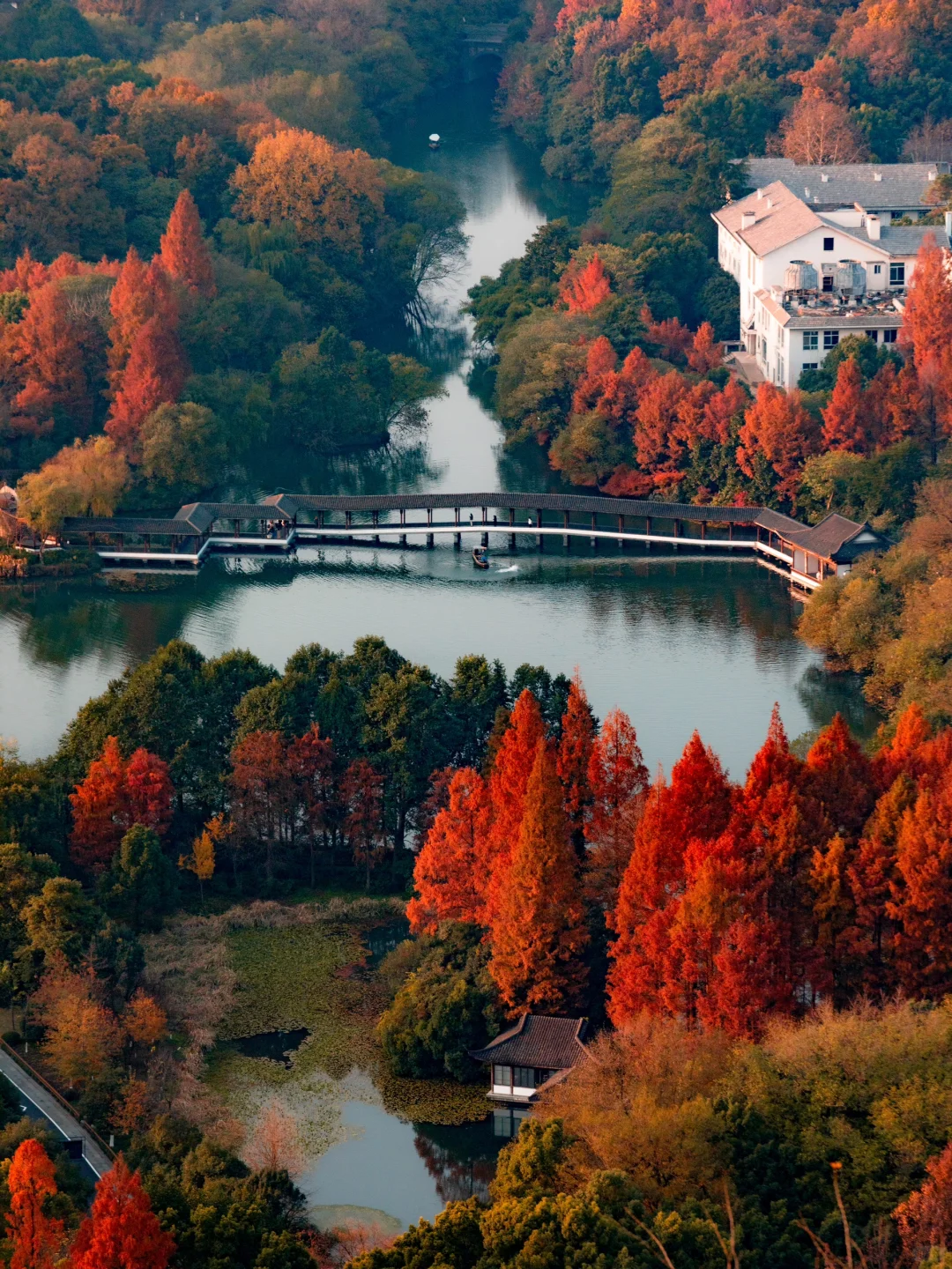 为了这1️⃣8️⃣张图，特意飞了一趟杭州，值吗！