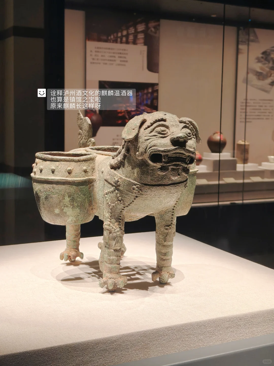 特种兵泸州一日游｜重庆出发，一天玩透酒城