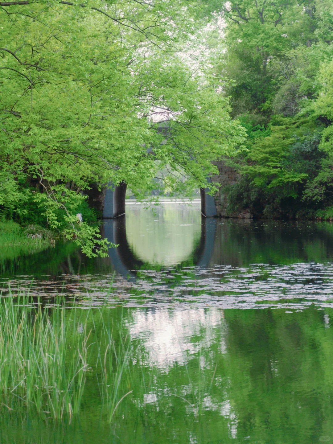 为了这1️⃣8️⃣张图，特意飞了一趟杭州，值吗！