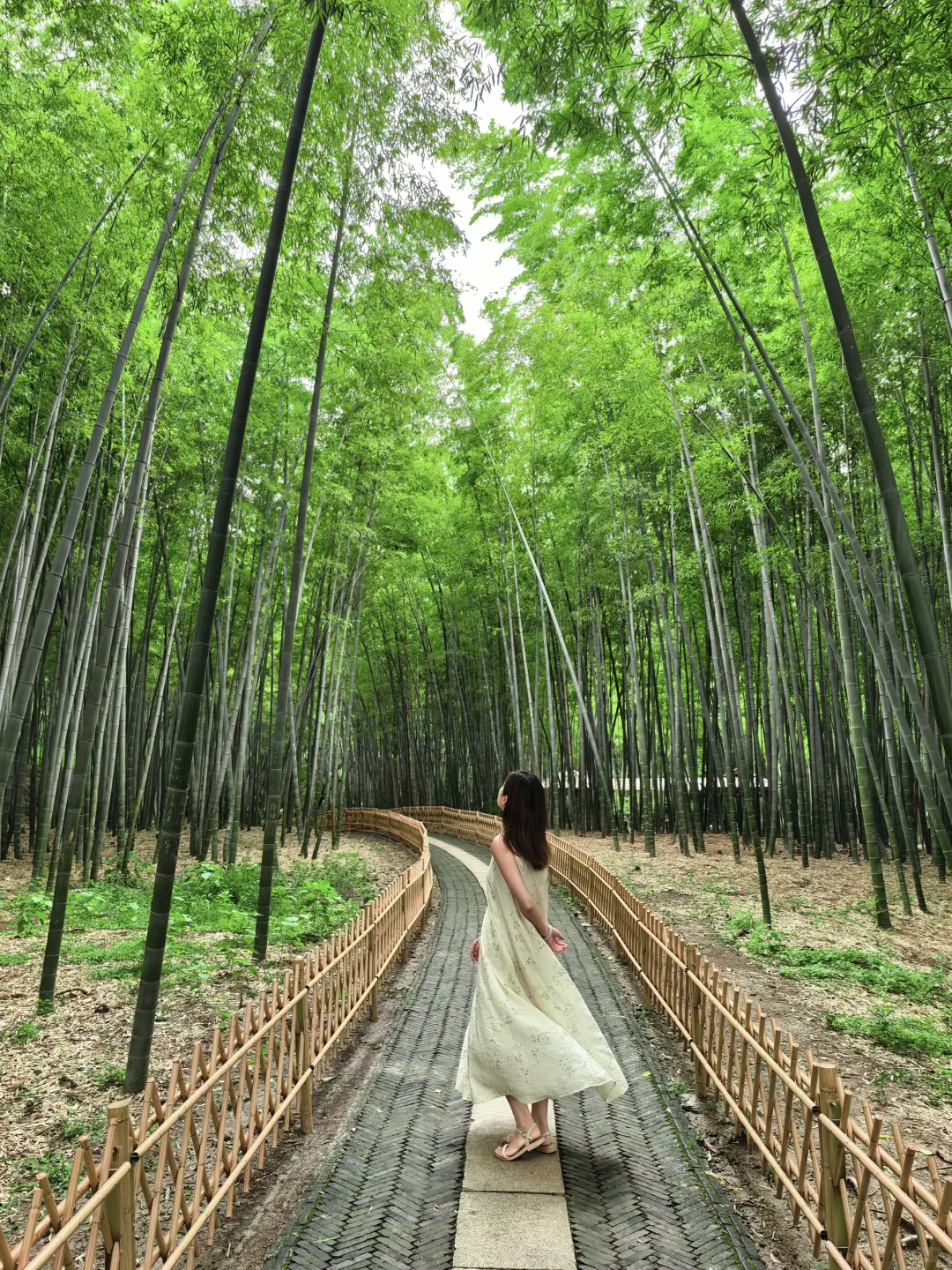 10月来虎丘，人少出片+热闹庙会双份攻略收好