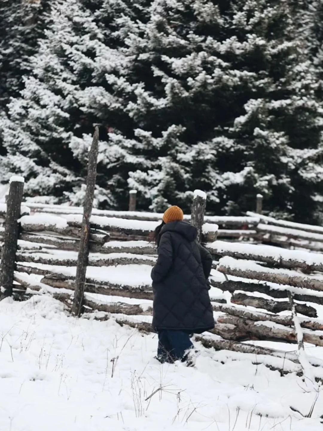 松潘玩雪已回！坚决不删，能劝一个是一个……