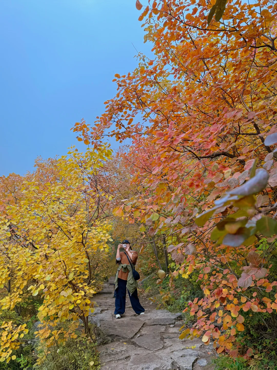 邢台也有自己的喀纳斯｜佛照山