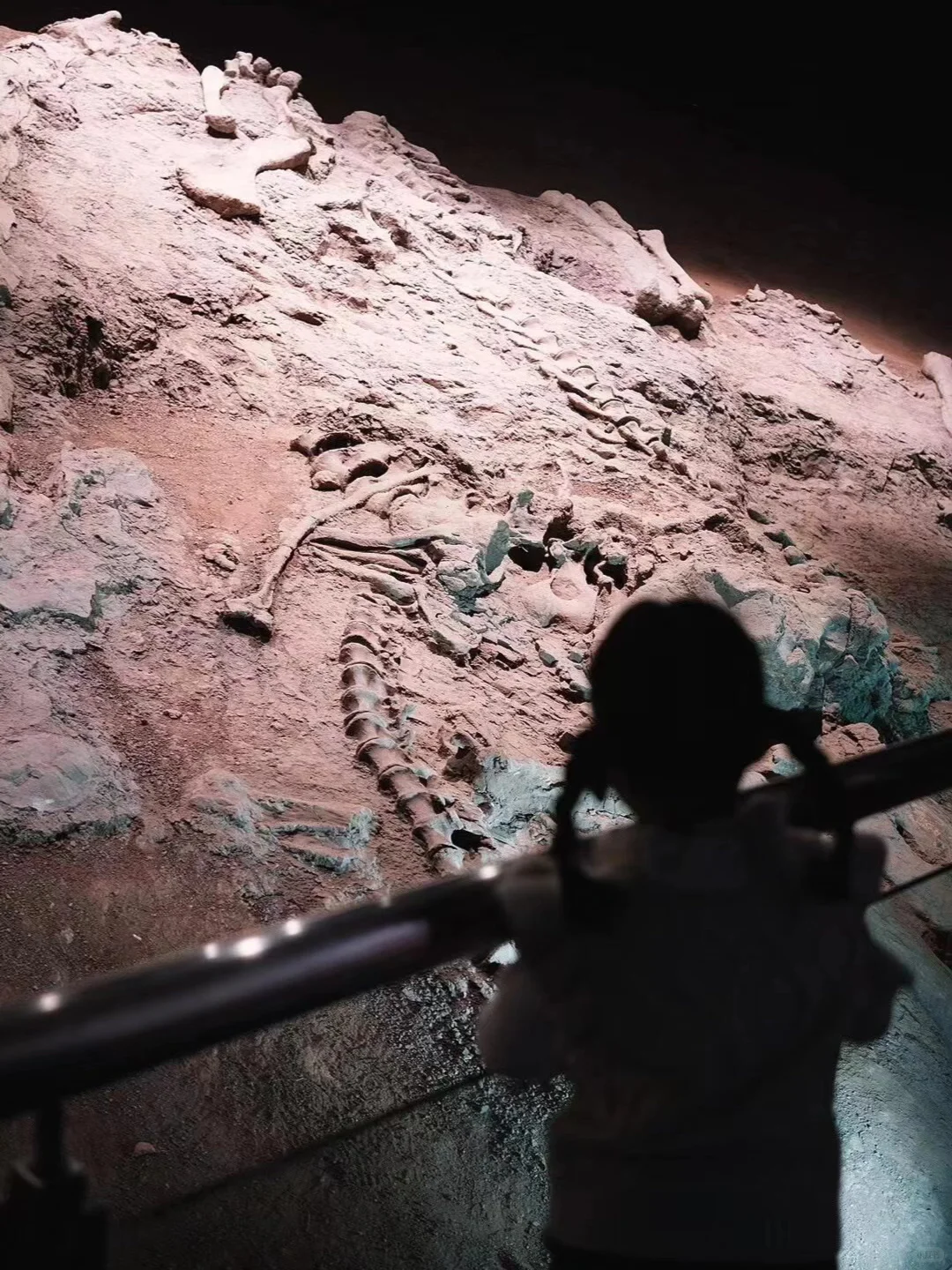 二刷弥勒！一点不累！娃说比迪士尼好玩