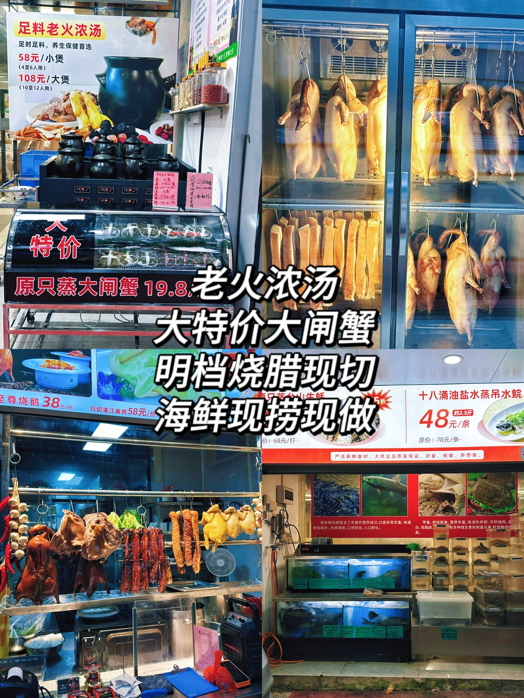 广州一日游！200r吃玩全搞定！