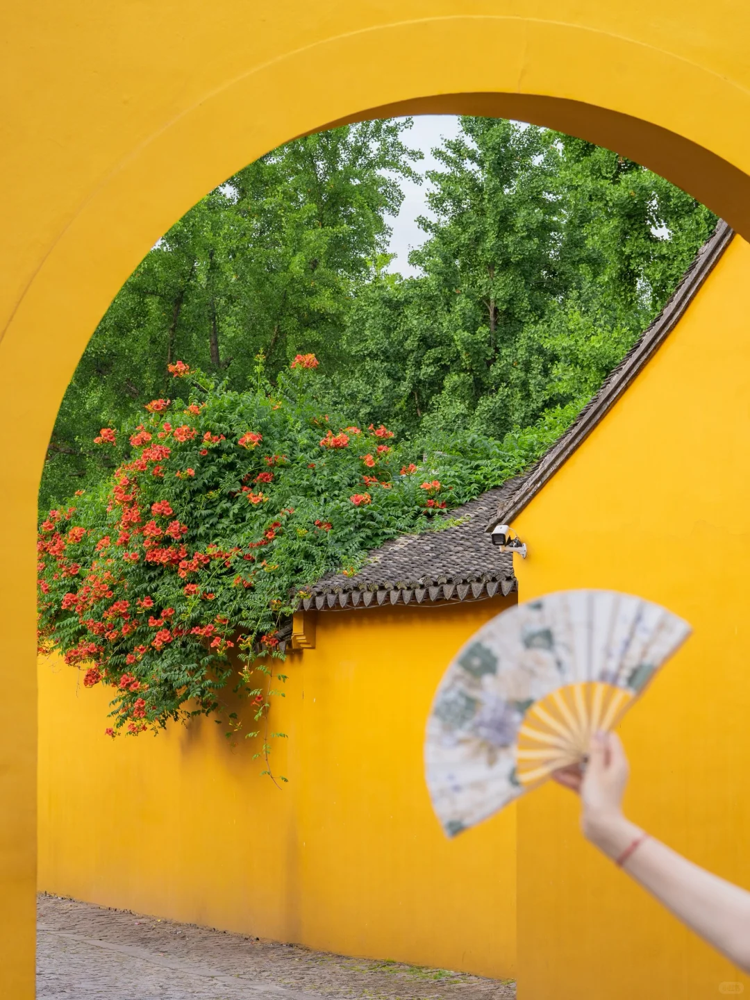 10月来虎丘，人少出片+热闹庙会双份攻略收好