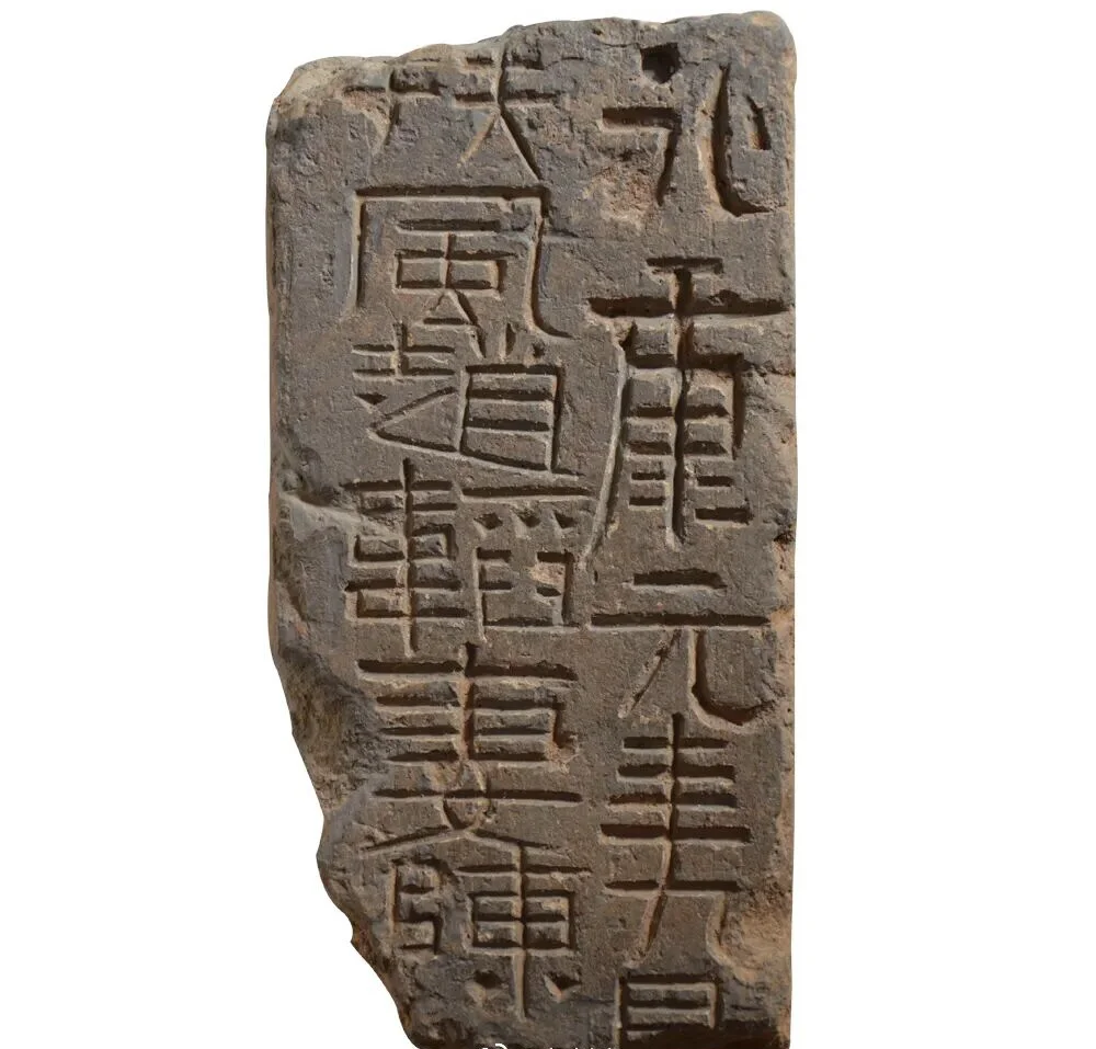 3000年文字的温度,国花园里的免费宝藏!