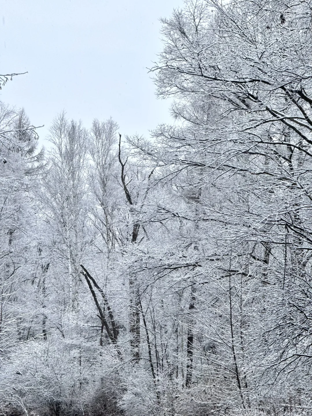 关于天池不开放，我去哪里玩这件事