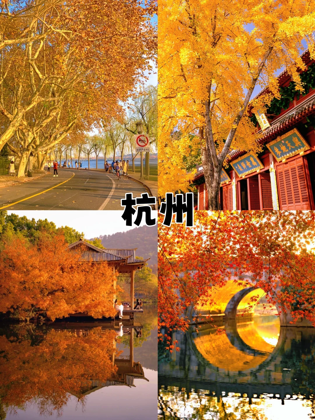 秋天适合带小朋友去的，四个超棒城市