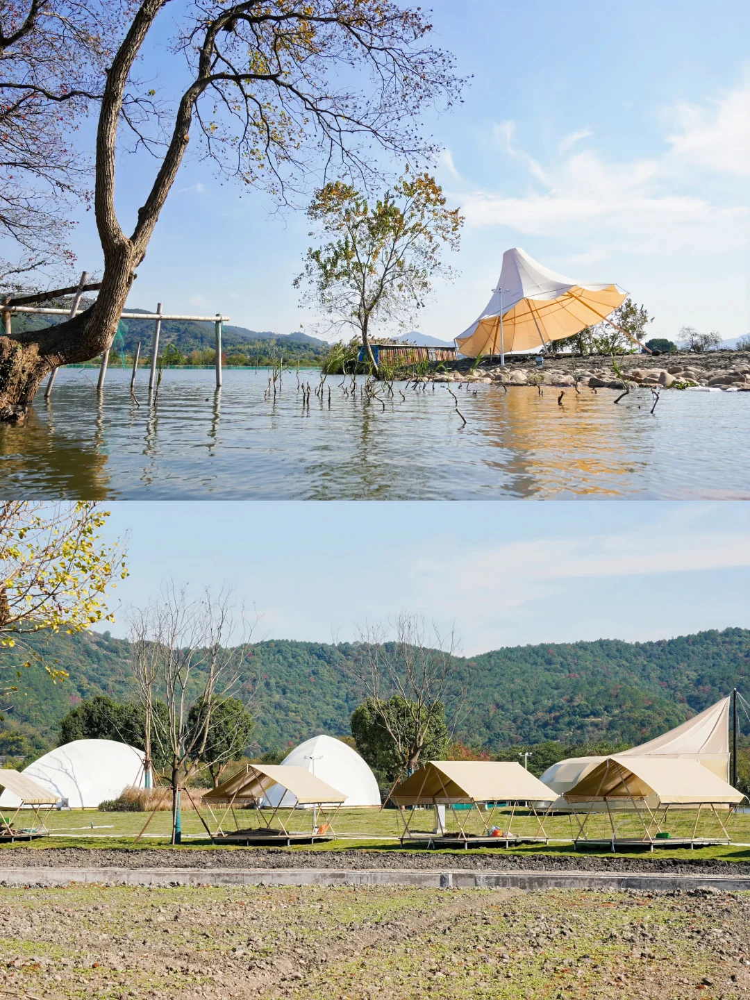 上虞秋日必冲🔥白马春晖文化园藏不住了