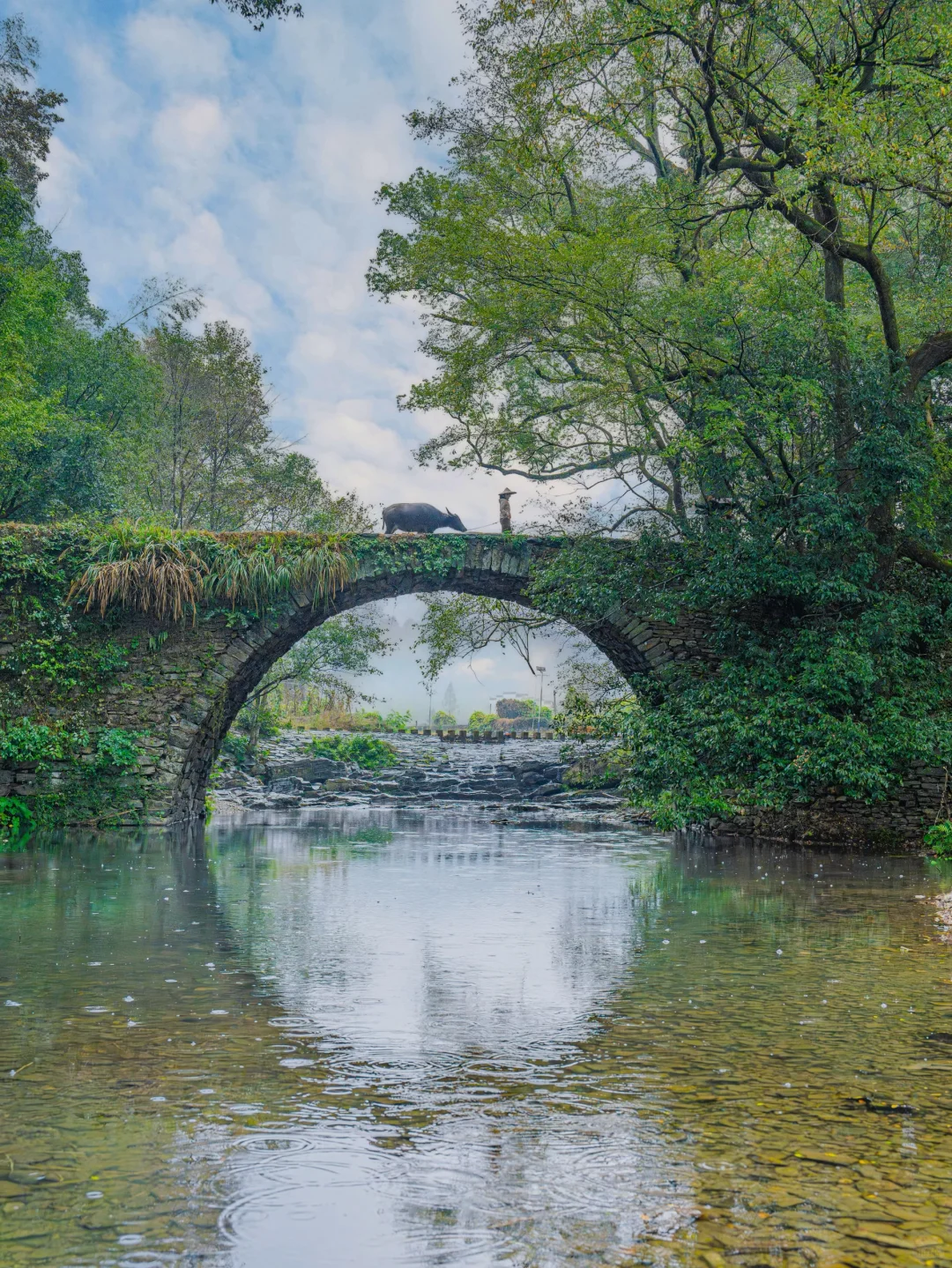 接下来的婺源，堪称国内旅游天花板‼️