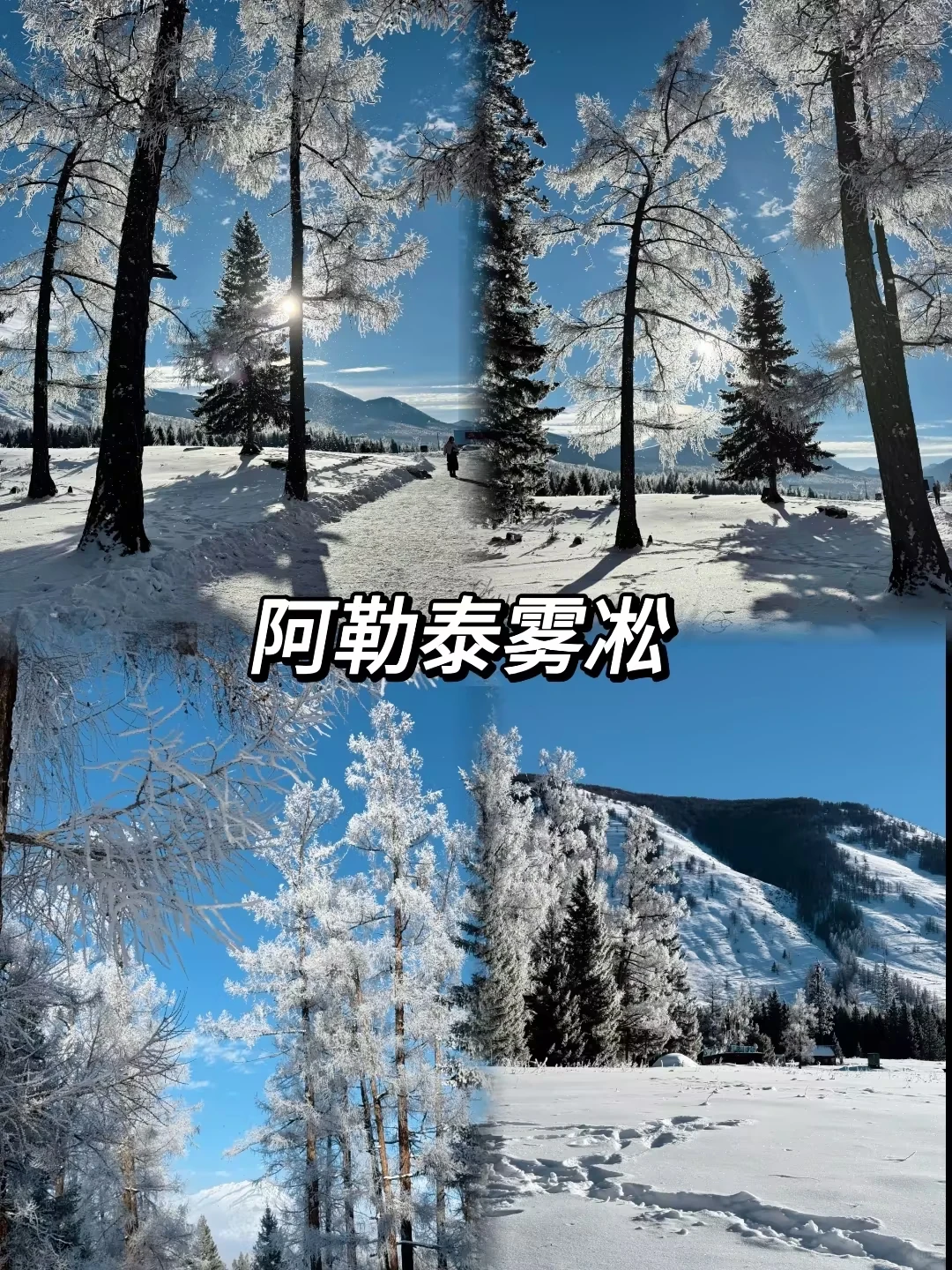 ❄寒假新疆怎么玩？亲子党学生党看这里❗️