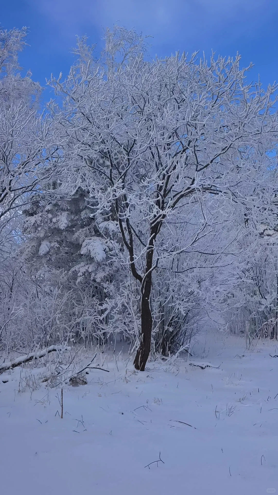 听劝！延吉→雪岭→长白山这么玩，拼车包车