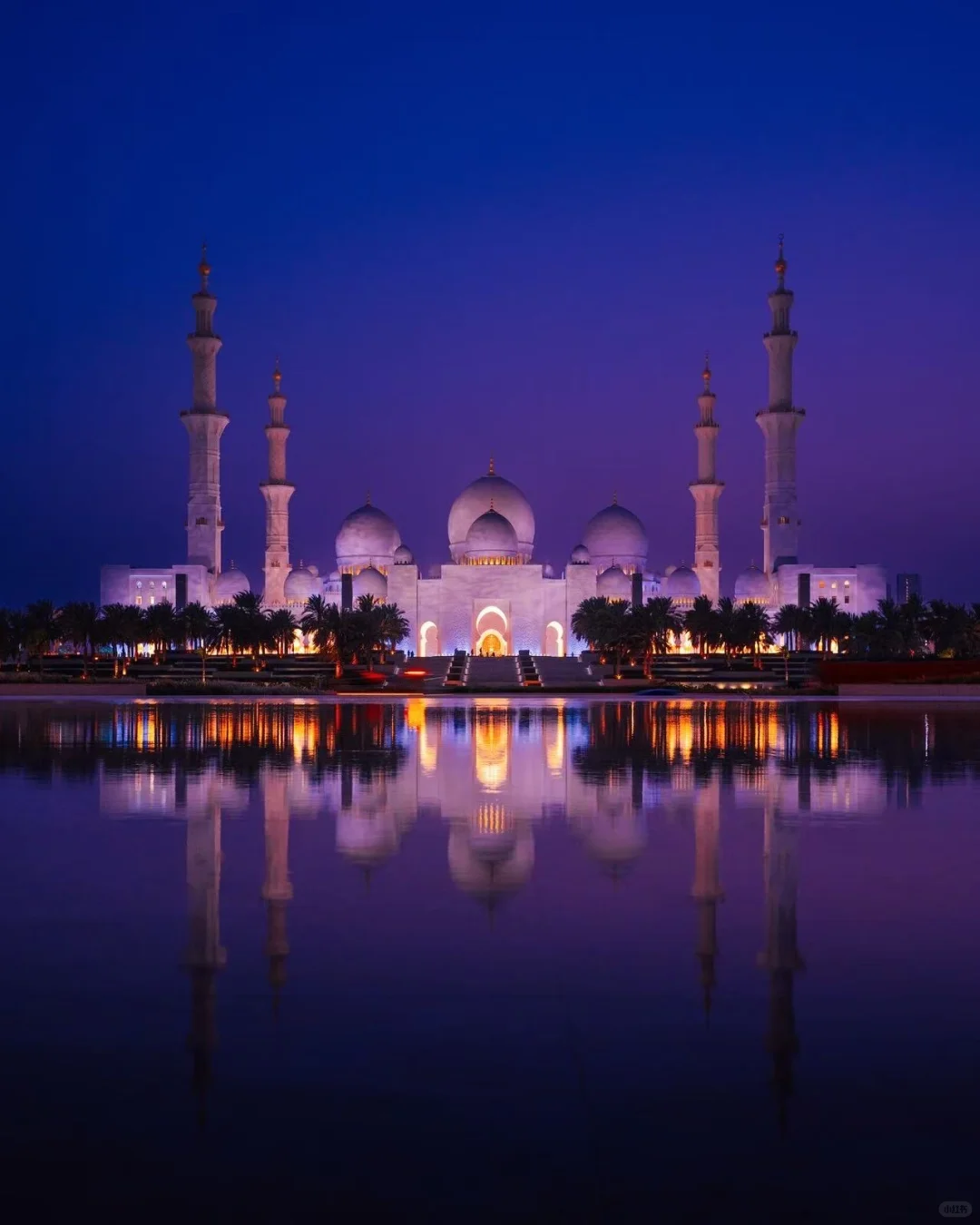 体验传统与奢华🚢MSC神女号中东航线🎉