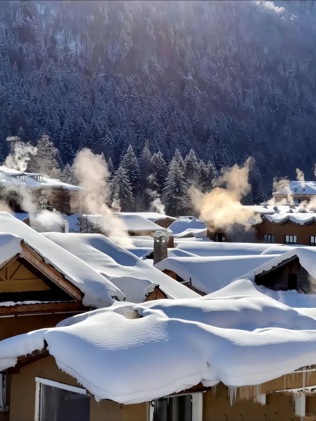 98元纯玩雪乡！日景+夜景+无购物超值