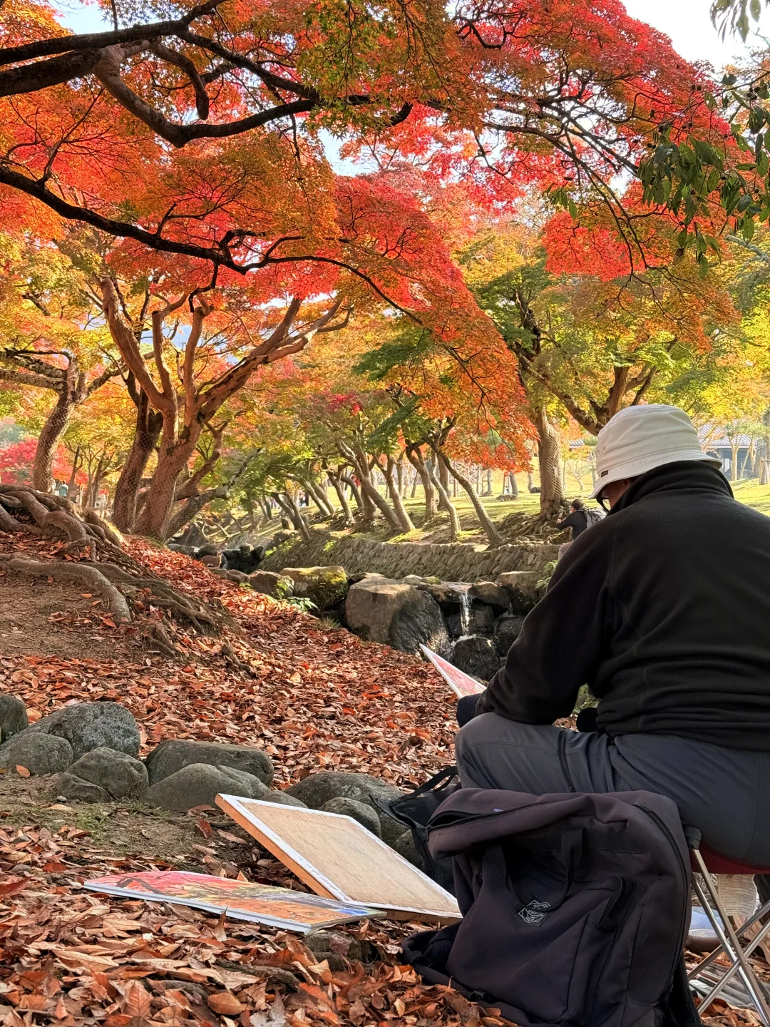Live丨第一次在奈良感受秋天🦌🍁
